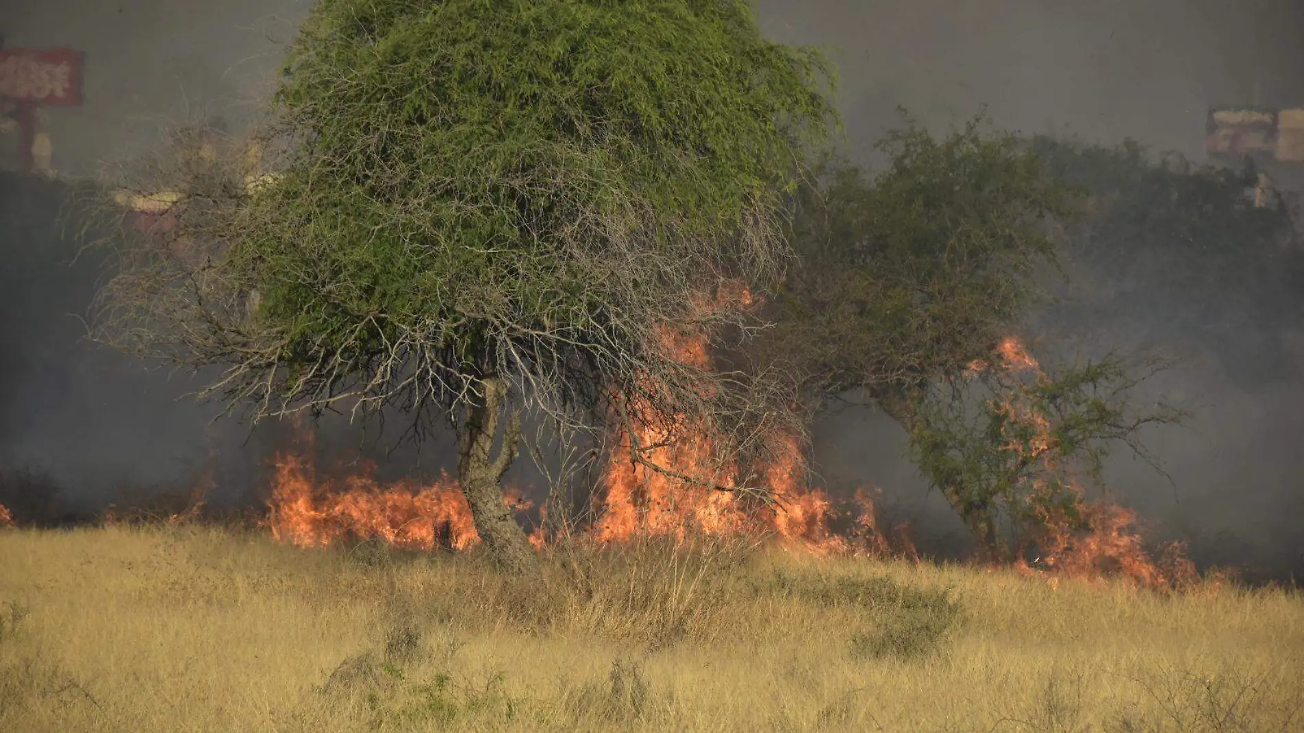 Incendios (3)